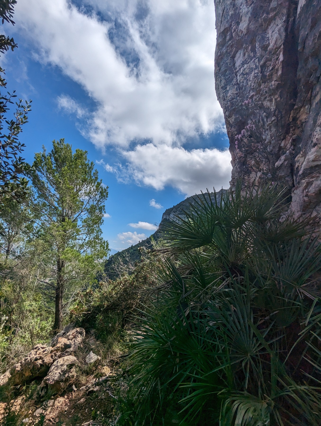 Local hiking Marxuquera
